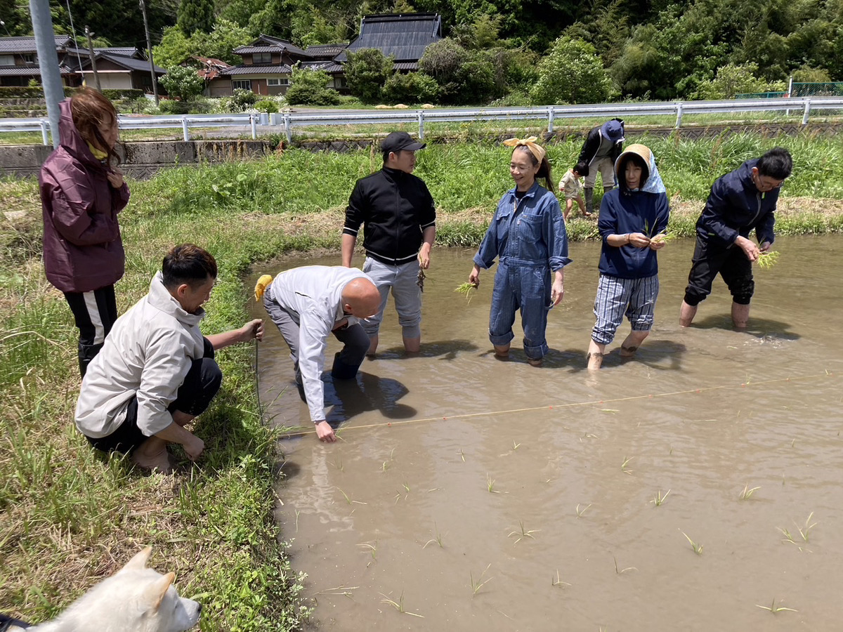 丹波篠山で田植え体験 アイキャッチ画像