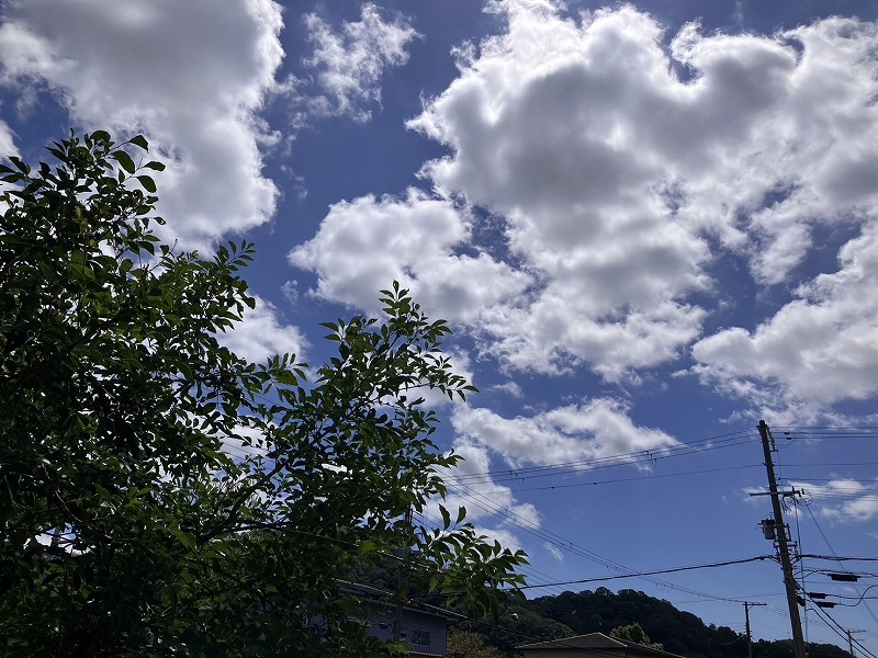 台風一過 画像